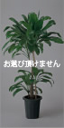 qohZi